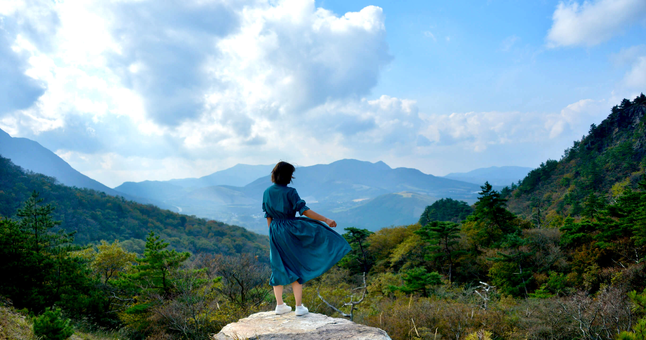 リセットプラン