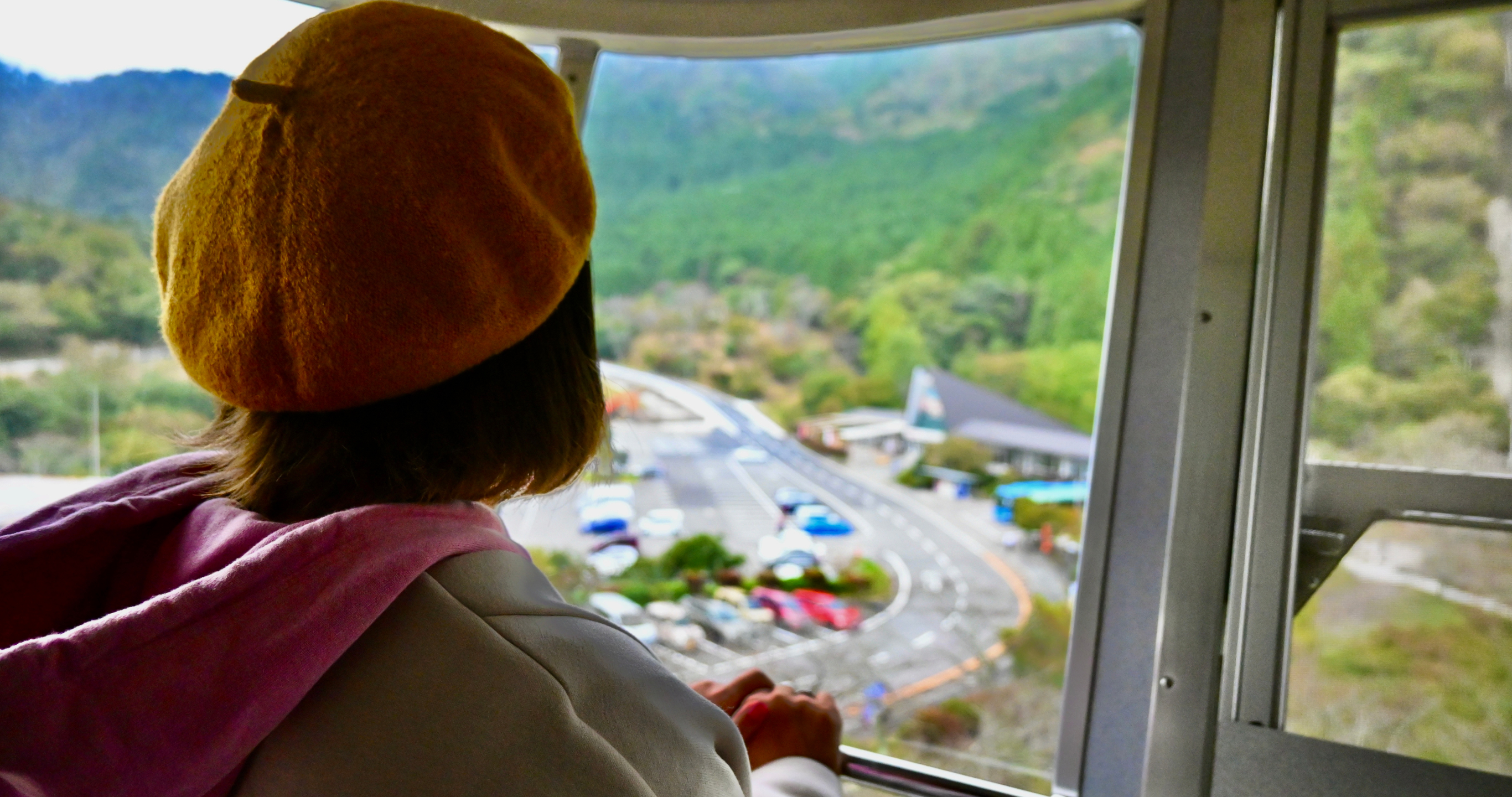 リセットプラン