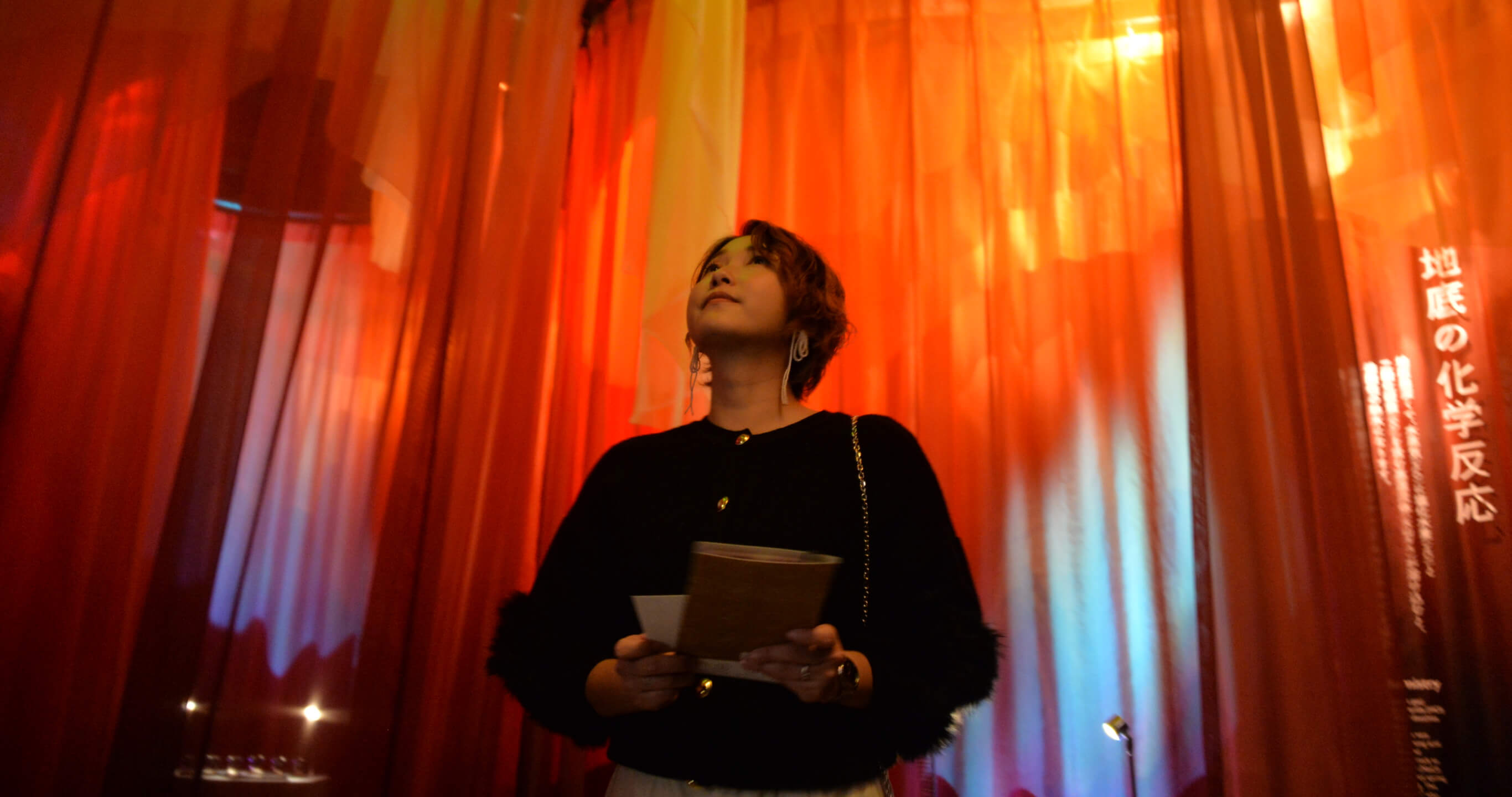 カスタムプラン