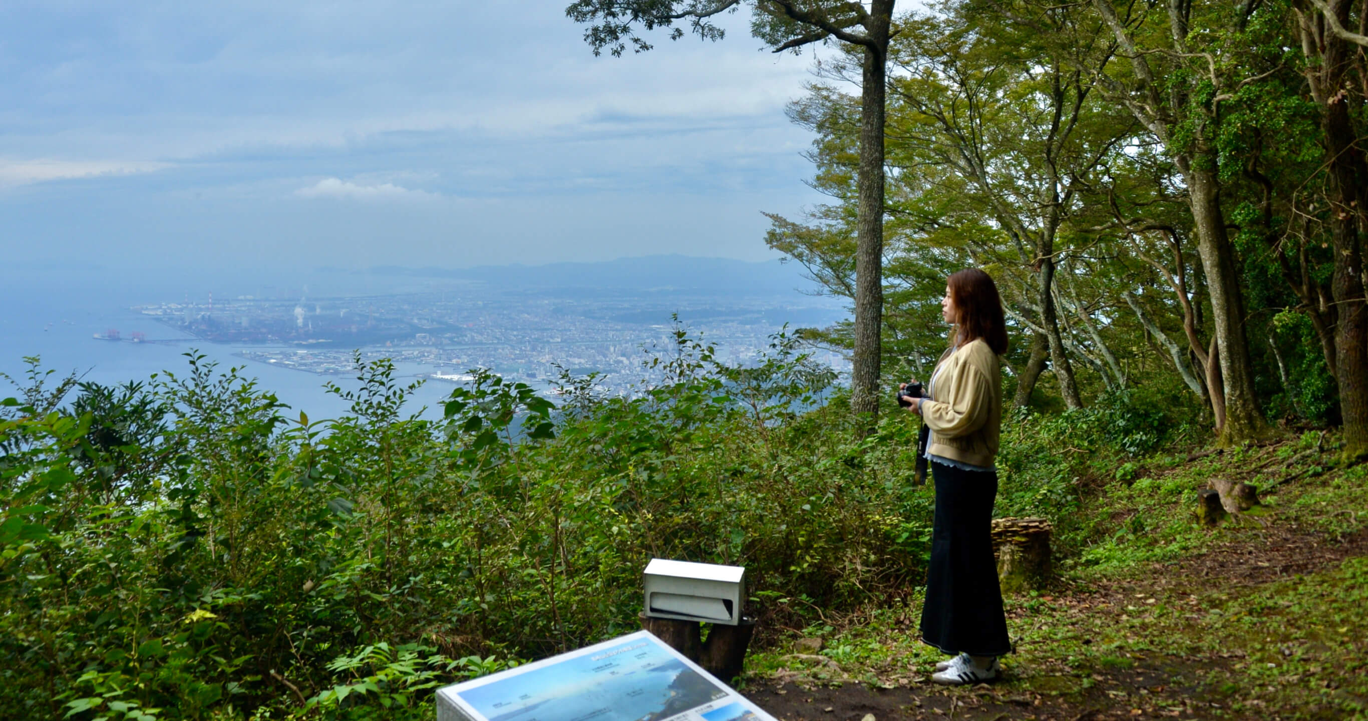 カスタムプラン